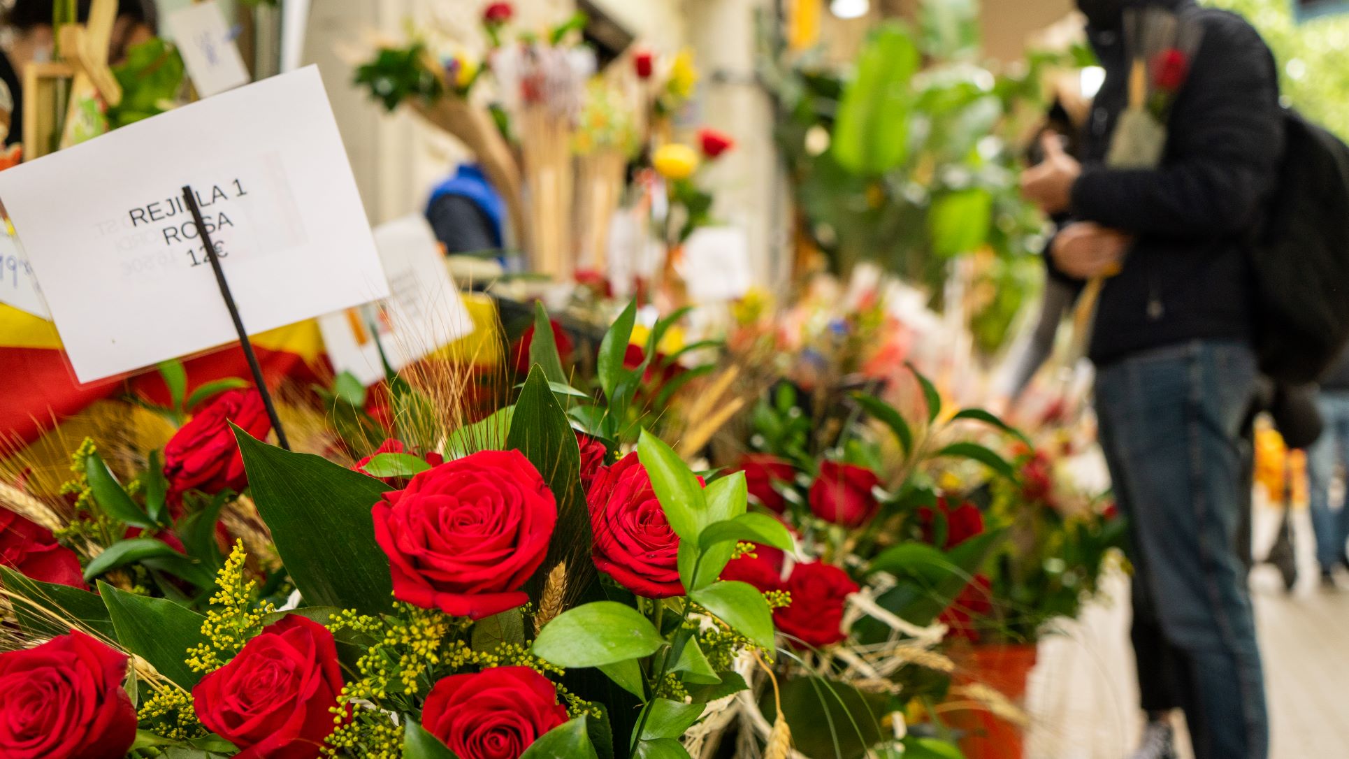 Libro fiesta Sant Jordi Barcelona rosa Cataluña Foto Clementine Laurent Equinox 06800