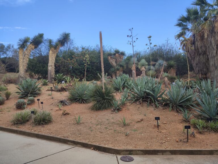 Escapada exótica al Jardín Botánico de Barcelona