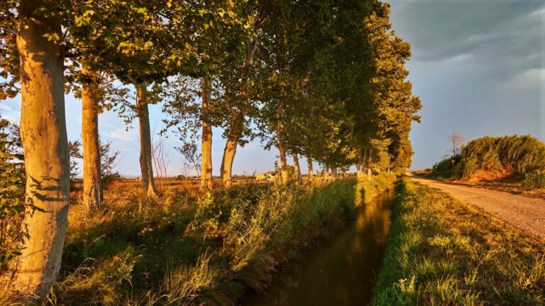 Escapada verde junto al agua en Cataluña