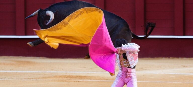 ¿Por qué hay toros en las carreteras de España?