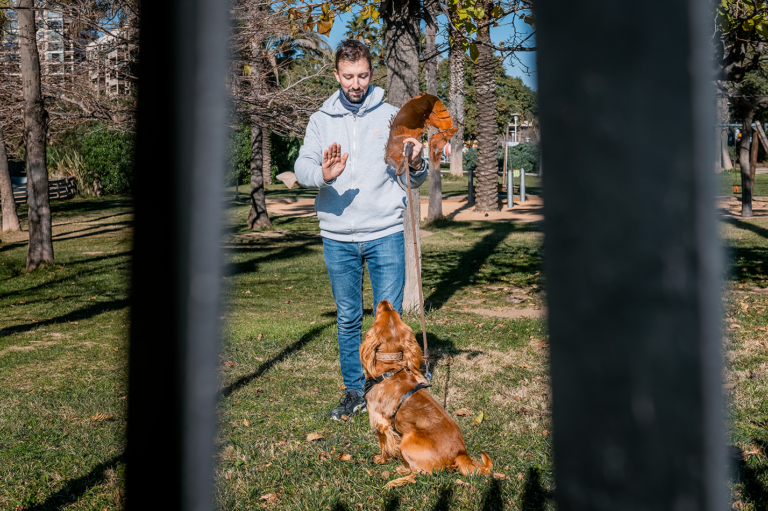 FAVORITO – Un adiestrador de perros francés en Barcelona, ​​para adiestramiento, guardería y paseos