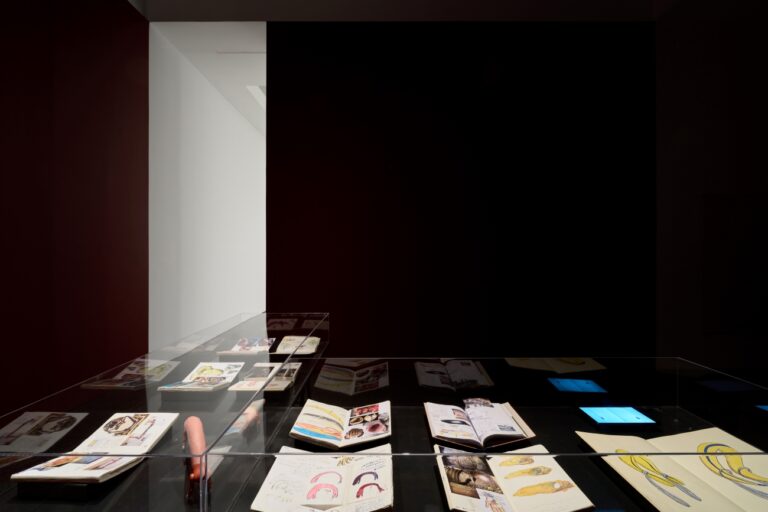 En el MACBA con los extraterrestres de Teresa Solar Abboud