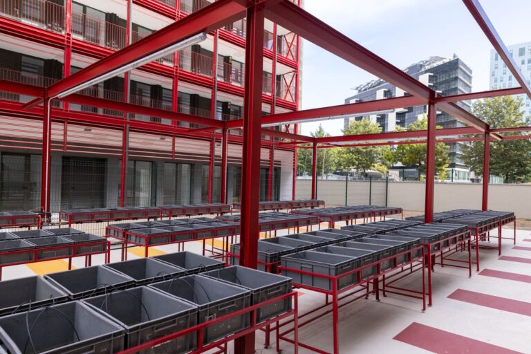 Transformar tu terraza en huerto gana terreno en Barcelona