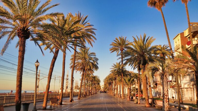 Badalona, ​​el suburbio barcelonés que quiere hacerse grande