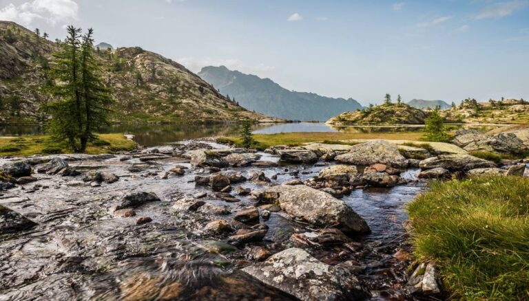 Ideas de regalos de San Valentín para amantes de la naturaleza