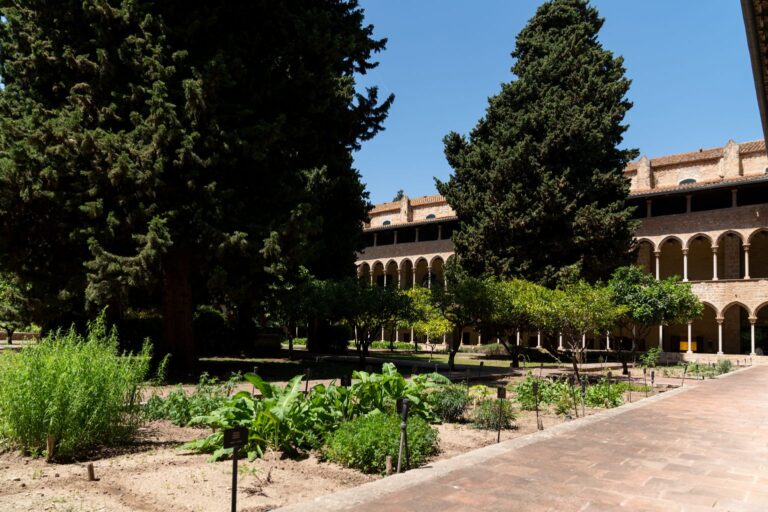 Salida de las últimas monjas: ¿Qué futuro para el monasterio de Pedralbes en Barcelona?