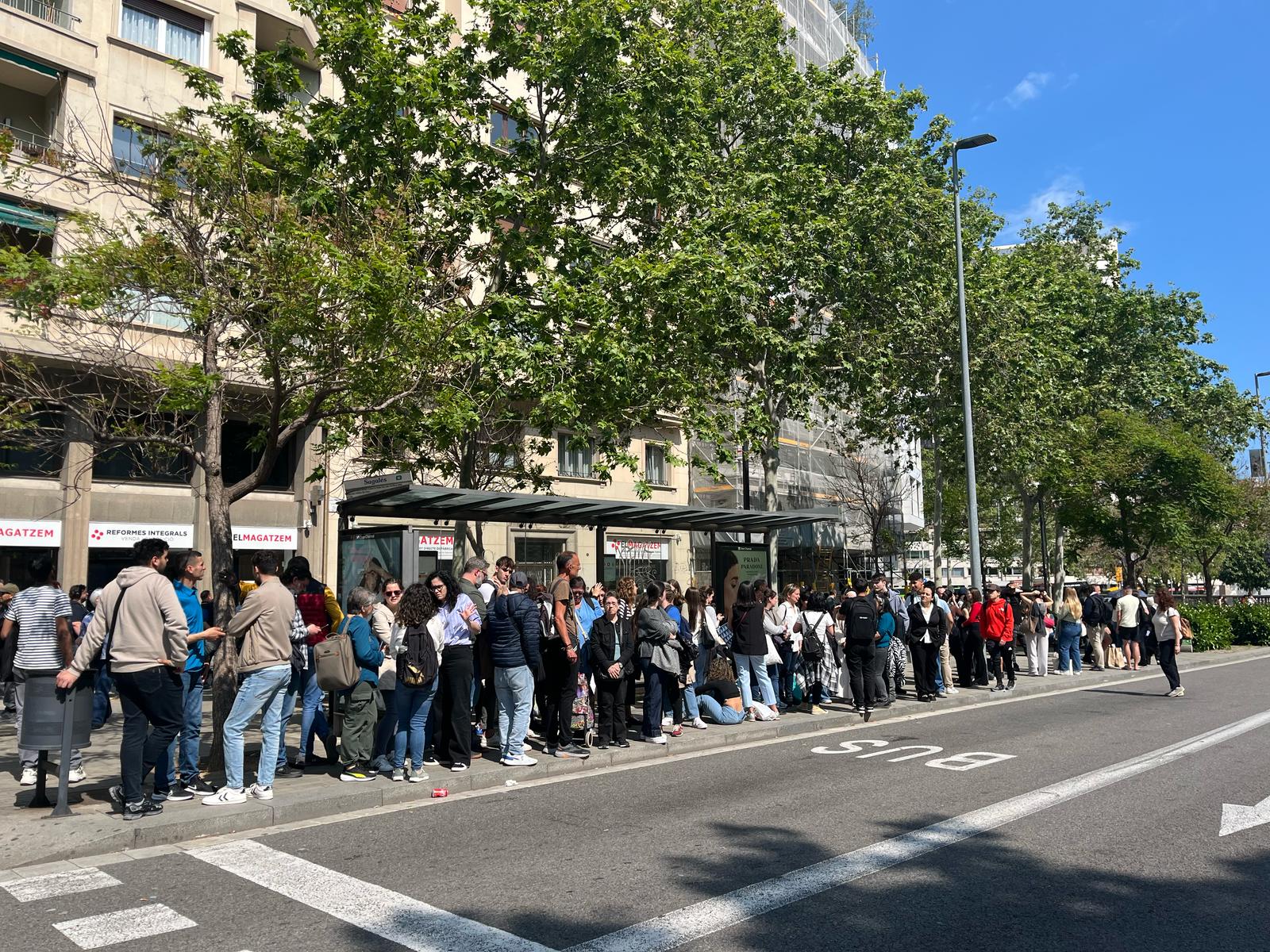 Imagen de WhatsApp 2025 04 28 a las 16.10.10