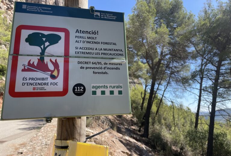 Después de las lluvias, fuego: por qué Cataluña teme un verano de incendios