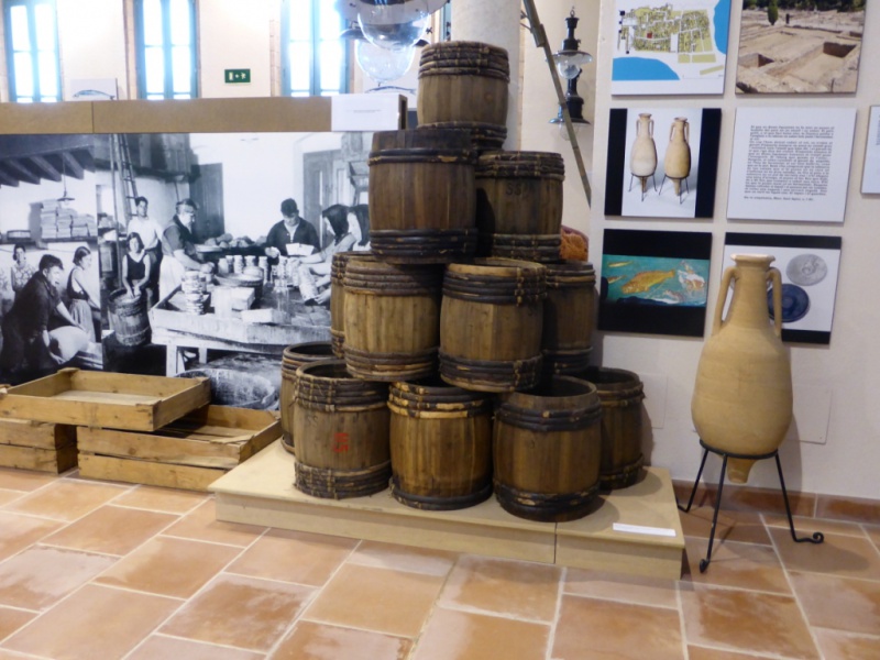 Museu de Lanxova I la Sal Masle 11