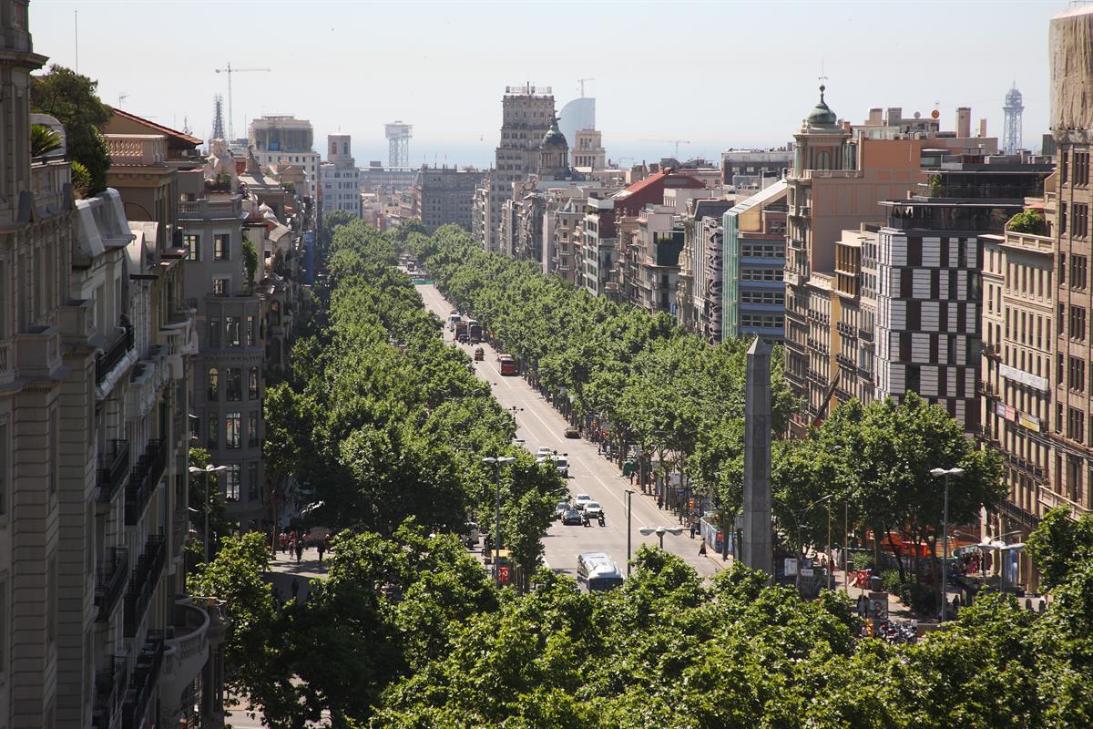 Campos Elíseos Barcelona