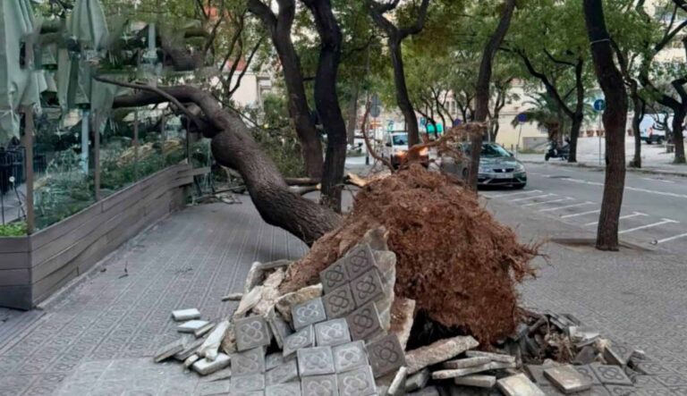 Vuelos cancelados, heridos, sofás voladores: los primeros daños del temporal Nils en Barcelona