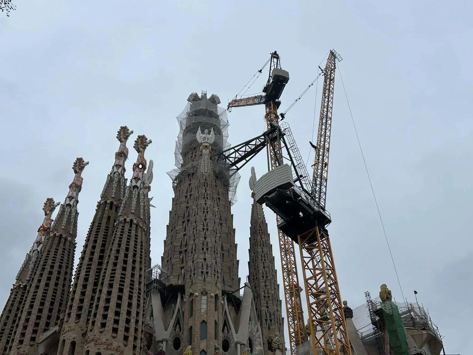 Imagen de WhatsApp 2026 02 13 al 15.11.36 1