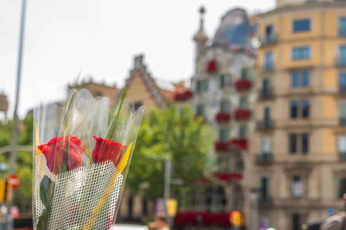 Libro fiesta rosa Sant Jordi Barcelona Cataluña Foto Clementine Laurent Equinox 06507