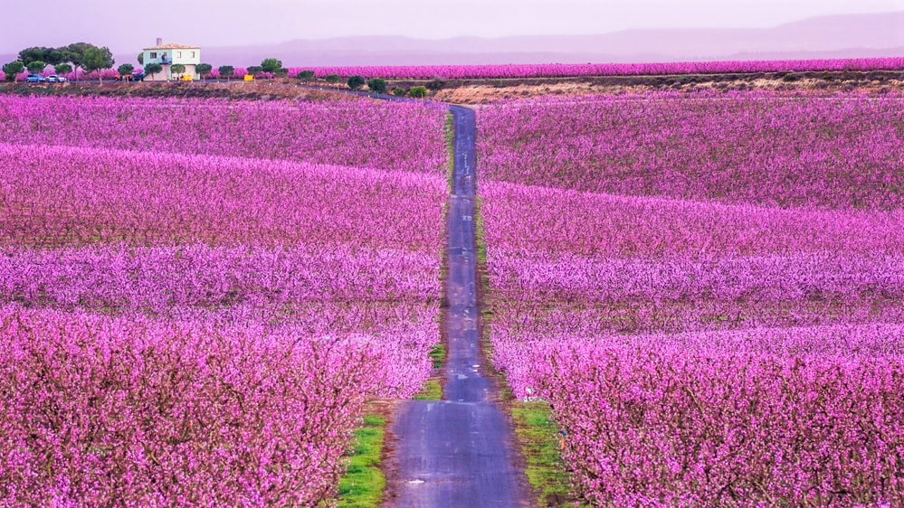 escapada a cataluña