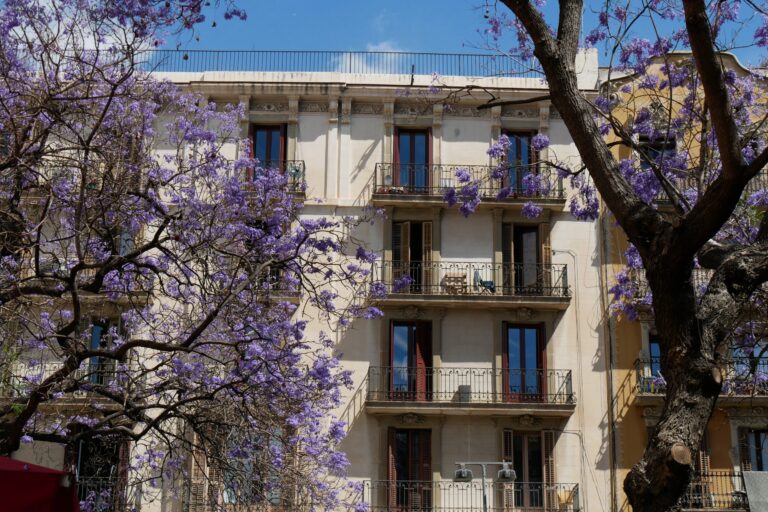 Barcelona, ​​nuevo refugio para residentes en Dubái y Oriente Medio