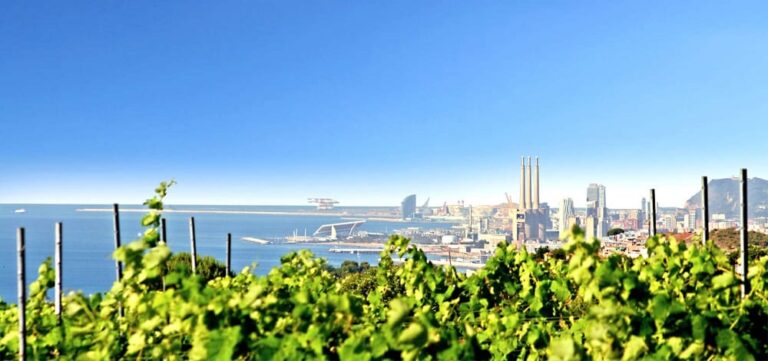 Inmobiliaria: el Maresme destaca como una alternativa de lujo a los precios (y ruidos) de Barcelona