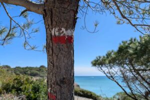 A 35 minutos de Barcelona, ​​una caminata costera como la Costa Brava