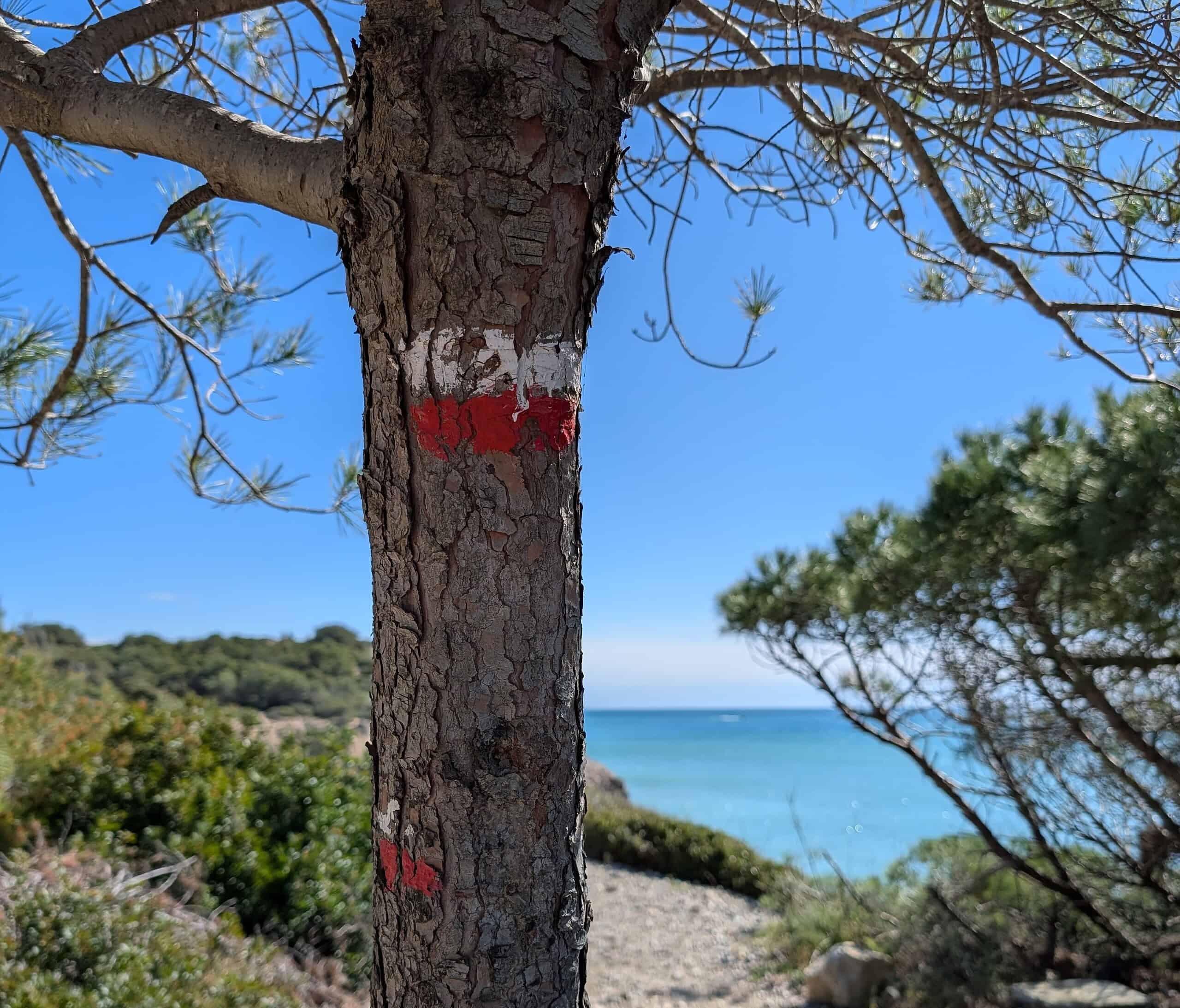 senderismo cerca de la playa a escala de barcelona