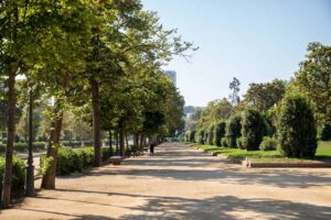 Por qué España es ya un referente mundial en la lucha contra el calor extremo