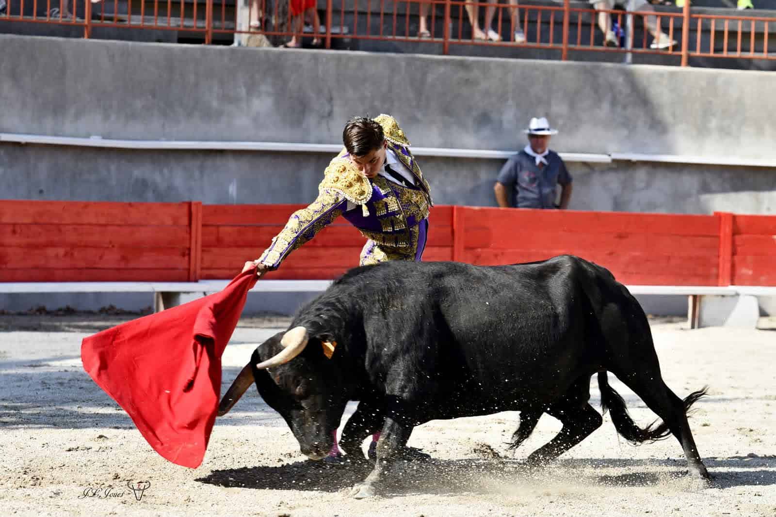 “Es una relación muy particular con la muerte”: de un joven torero francés en Madrid 2 Imagen de WhatsApp 26 06 2026 al 13.21.12