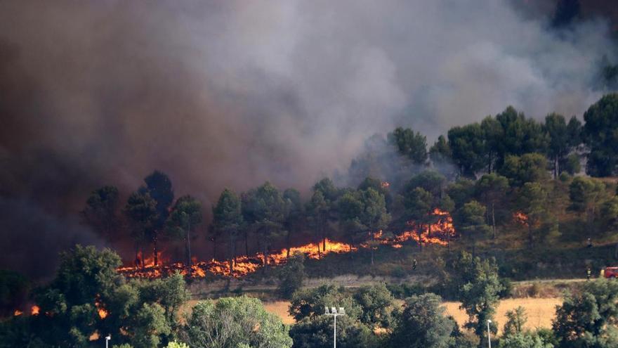 Un incendio en el Carmelo obligó al confinamiento de 33.000 personas de diversas localidades del país.
