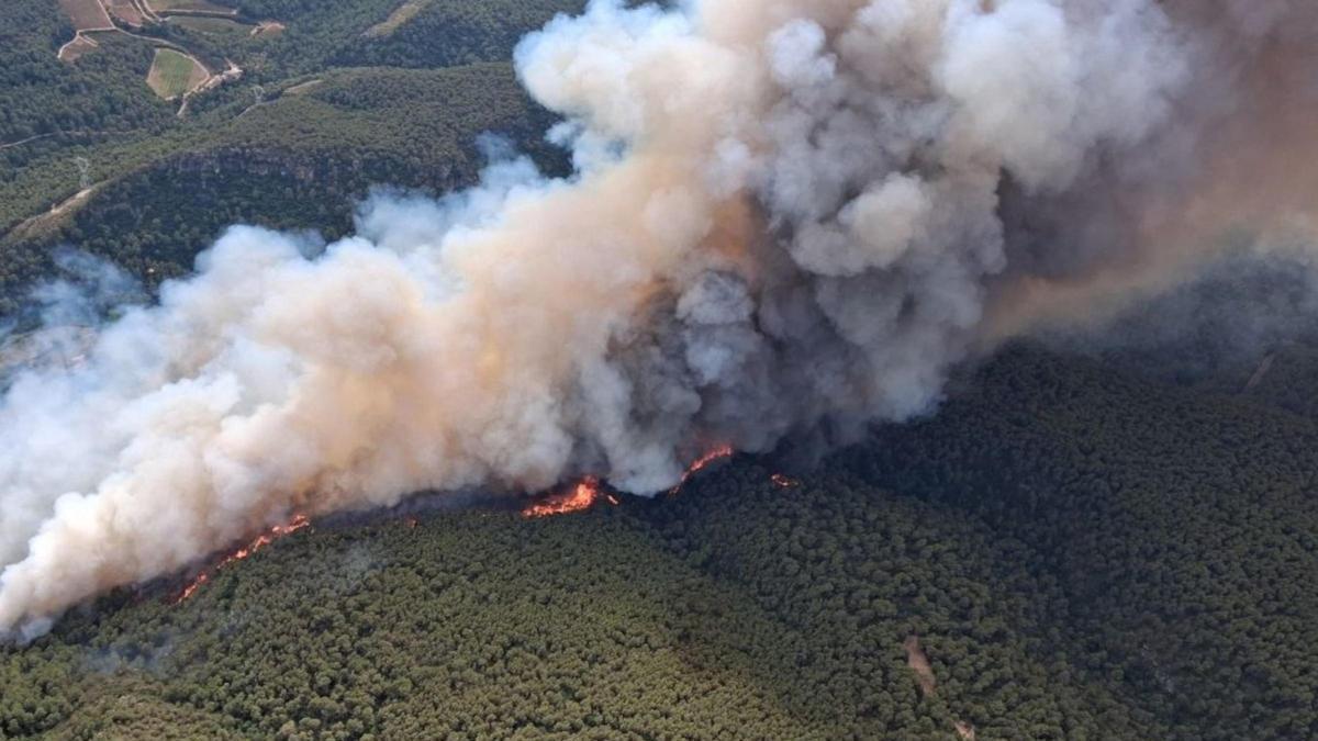 El incendio de Aiguamúrcia tiene 114 hectáreas y puede albergar un potencial de un millón