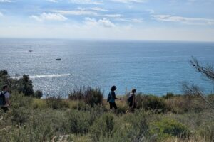 A 25 minutos de Barcelona, ​​esta caminata conduce a adorables cabañas de pescadores