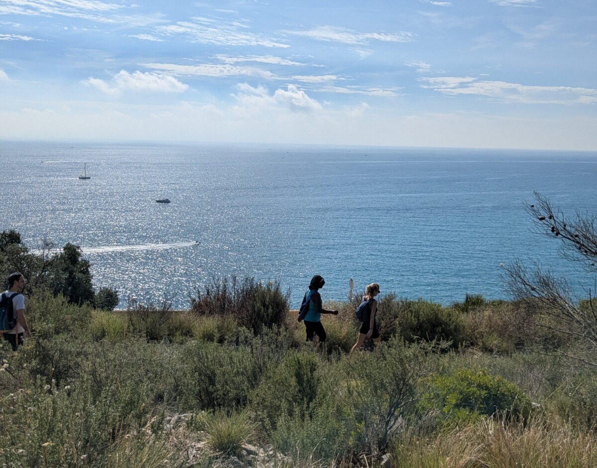IMG 20261026 WA0004 e1793031913777